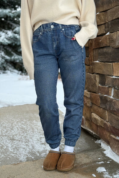 Rag & Bone Miramar Denim Print Fleece Jogger