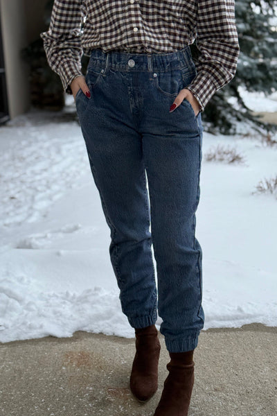 Rag & Bone Miramar Denim Print Fleece Jogger