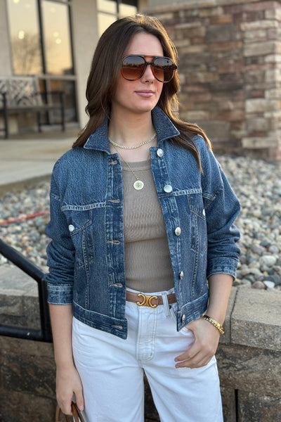 Rag & Bone Miramar Trucker Knit Jacket