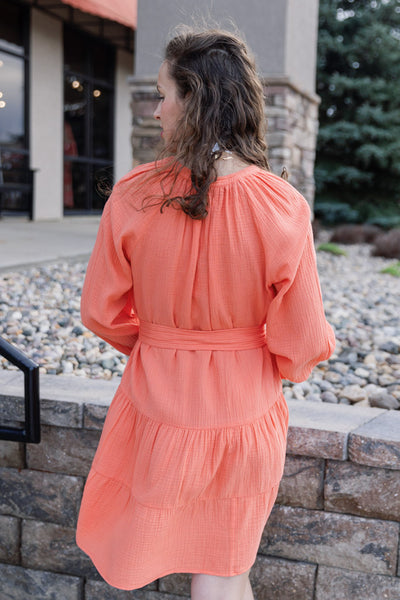 Rails Aureta Dress