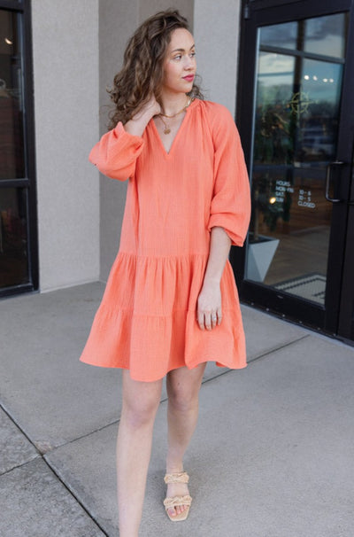Rails Aureta Dress
