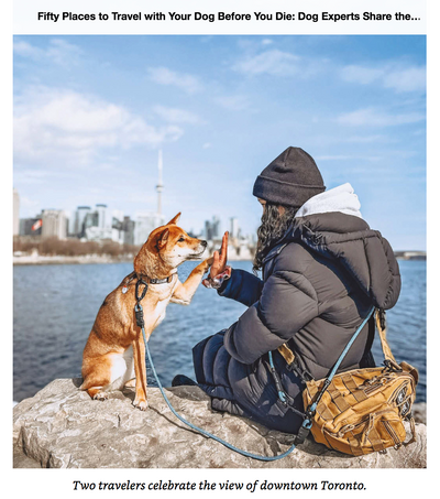 50 Places To Travel With Your Dog Before You Die