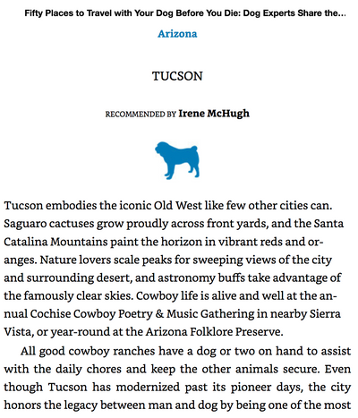 50 Places To Travel With Your Dog Before You Die