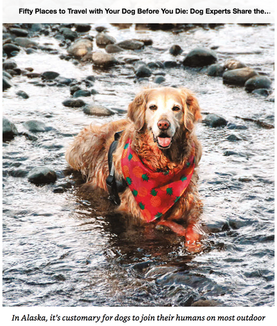50 Places To Travel With Your Dog Before You Die