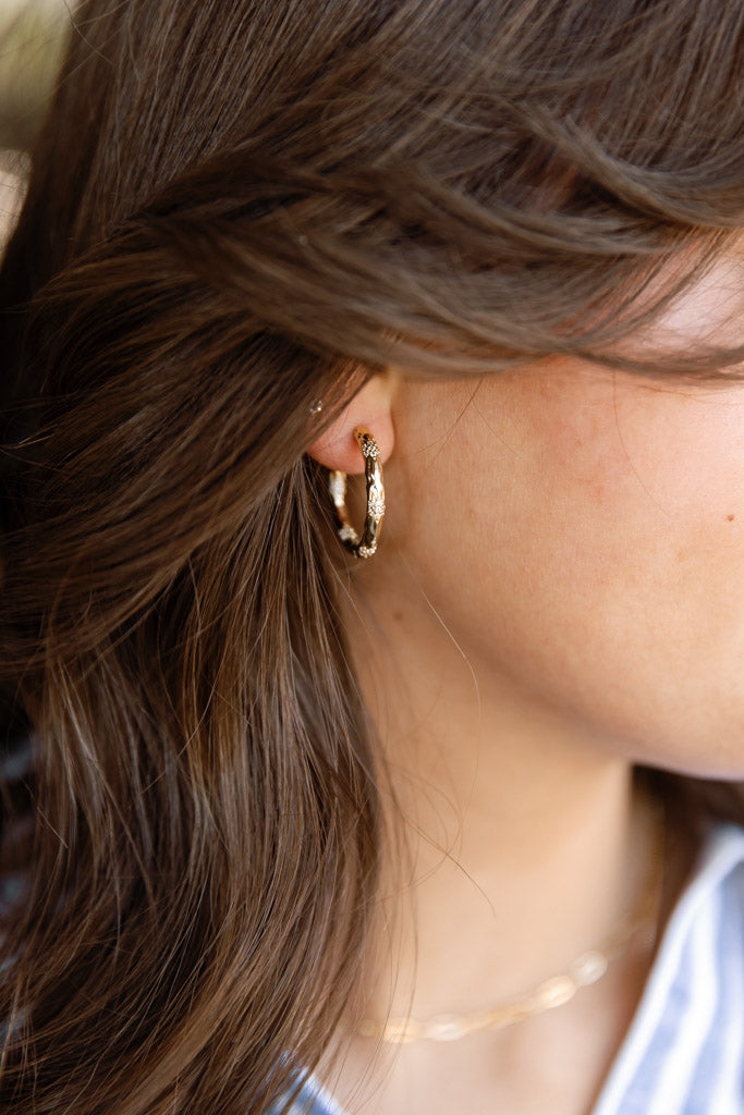 Sol CZ Encrusted Hoops