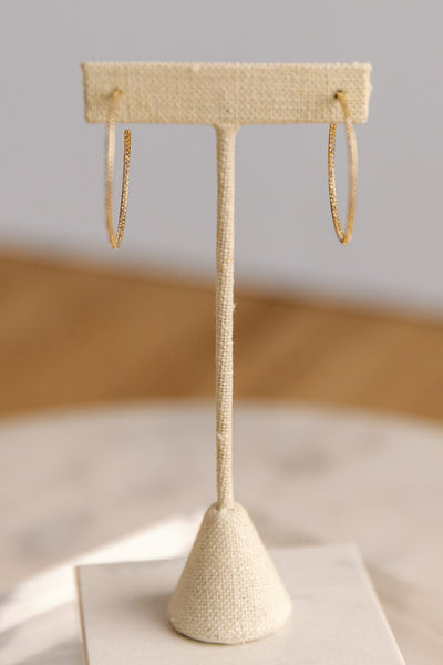 Lexi CZ Encrusted Hoops