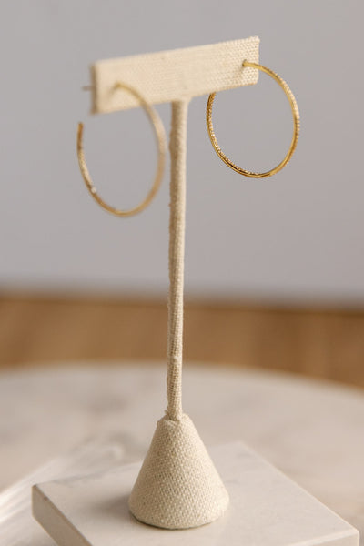 Lexi CZ Encrusted Hoops