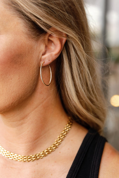 Lexi CZ Encrusted Hoops