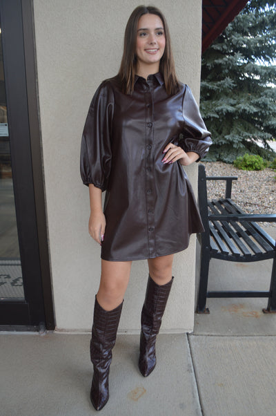 Sydney Faux Leather Dress