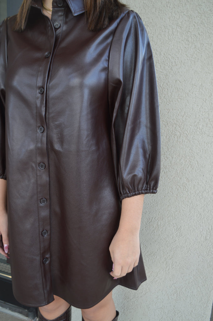 Sydney Faux Leather Dress Coffee / S Sydney Faux Leather Dress Coffee / S