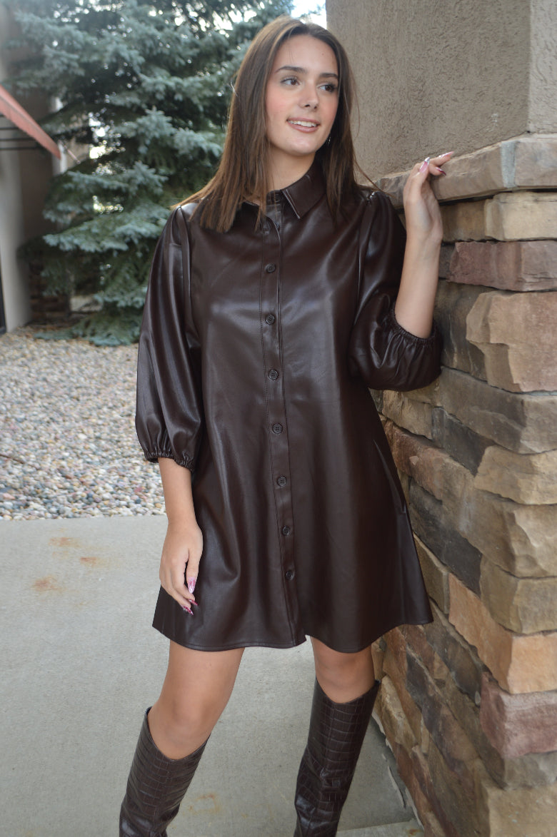 Sydney Faux Leather Dress Coffee / S Sydney Faux Leather Dress Coffee / S