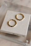 .Sol CZ Encrusted Hoops