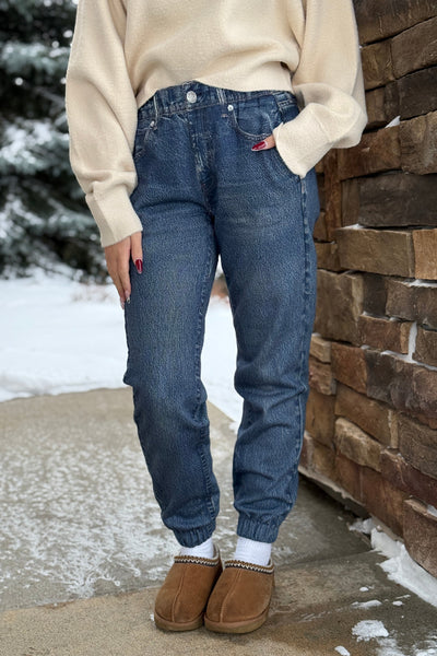 Rag & Bone Miramar Denim Print Fleece Jogger