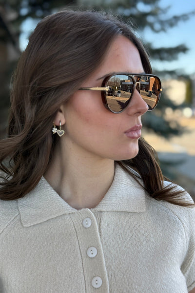 Phoenix Sunglasses, Brown - RUST & Co.