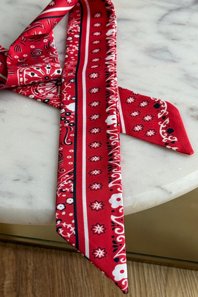 .Handbag Scarf, Red Bandana Print