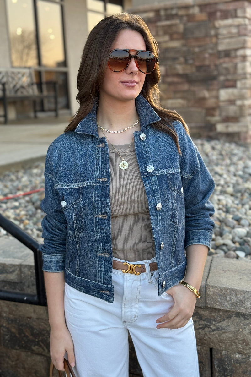 Rag & Bone Miramar Trucker Knit Jacket