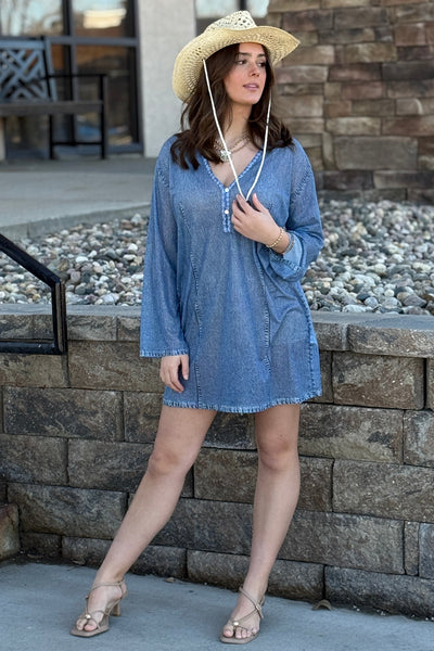 Rag & Bone Miramar Mesh Cover-Up Dress