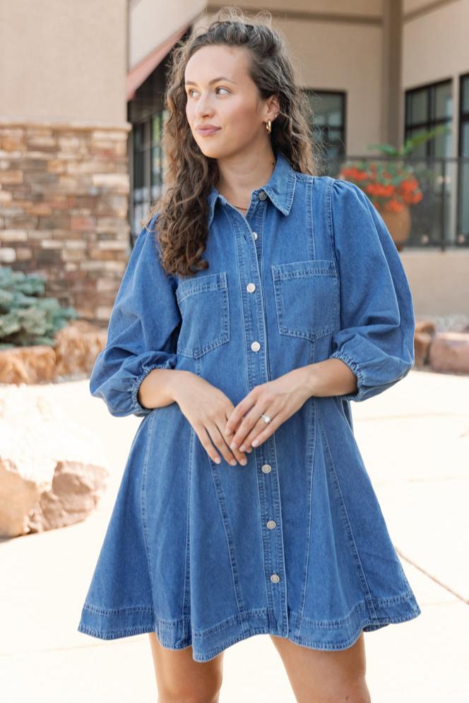 Trudi Denim Dresss