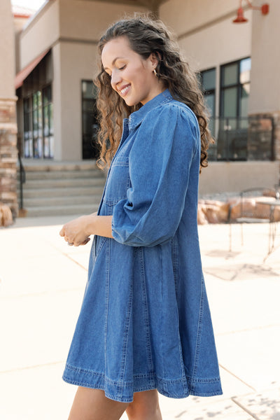 Trudi Denim Dresss