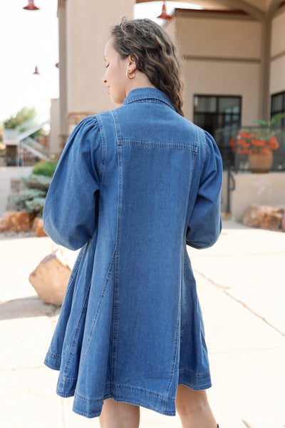 Trudi Denim Dresss