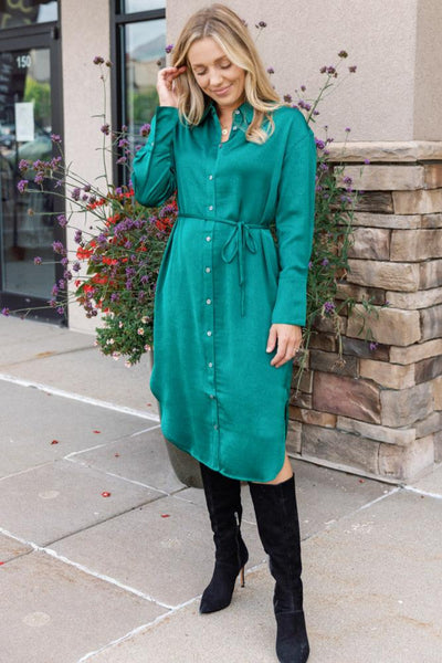 Anita Shirt Dress