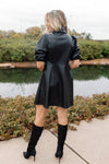 Hailey Faux Leather Dress