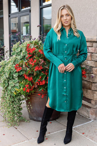 Anita Shirt Dress