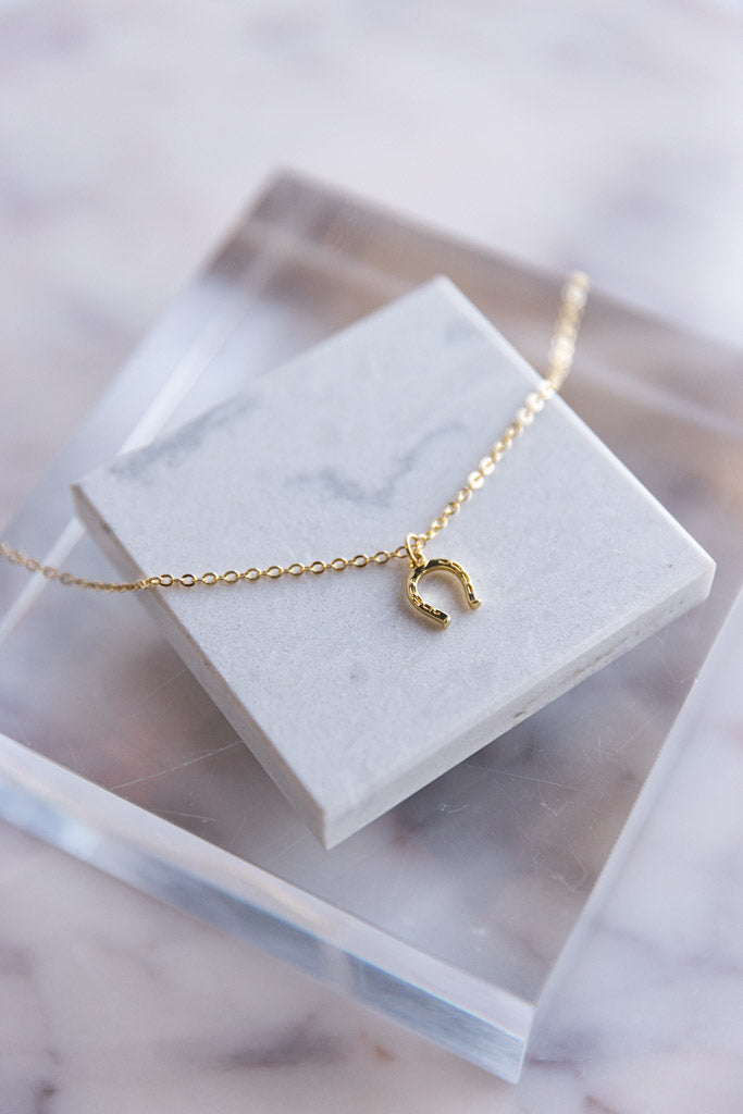 Horseshoe Necklace