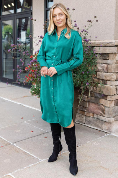 Anita Shirt Dress