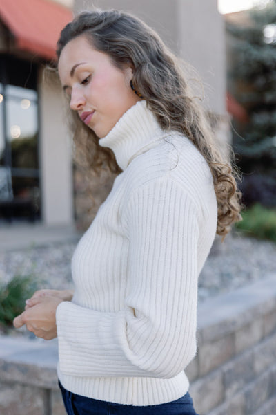 Janie Ribbed Turtleneck Sweater