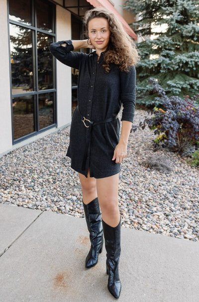 Faherty Legend Shirt Dress