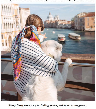 50 Places To Travel With Your Dog Before You Die