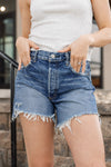 Moussy Nashville Denim Shorts, Size 26