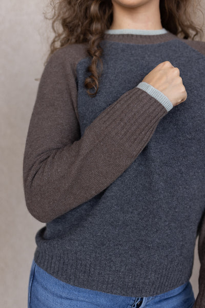 Alex Cashmere 2-tone Raglan Sleeve Sweater
