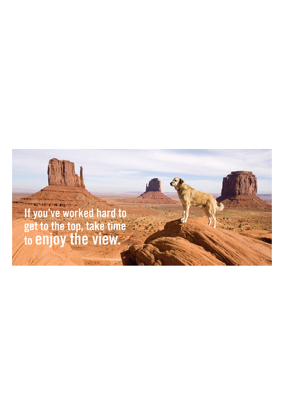 .Really Important Stuff My Dog Has Taught Me